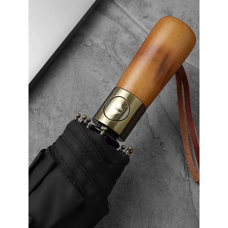 10-Rippen-Doppelschicht-Automa – Golf Umbrella Large Bewertung und Preis
